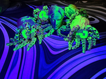 Tiphoptopus Trinket